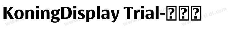 KoningDisplay Trial字体转换